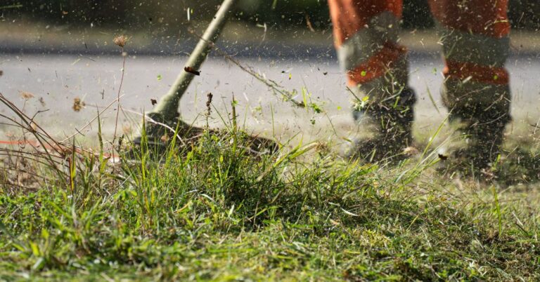 corte de grama em São Luís