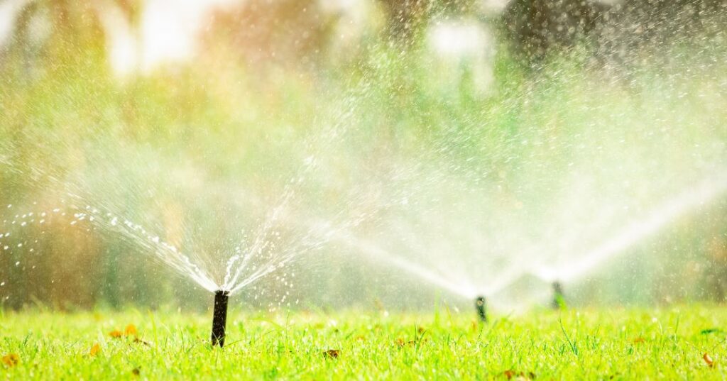 sistema de irrigação em São Luís